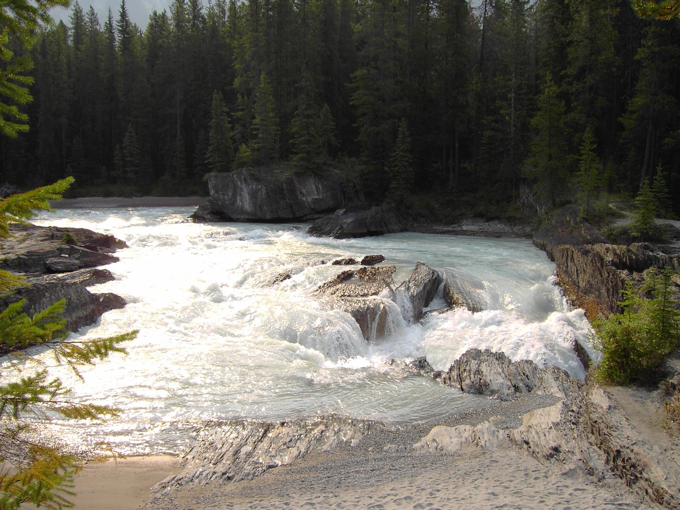 prepare for your Kicking Horse River Rafting Trip