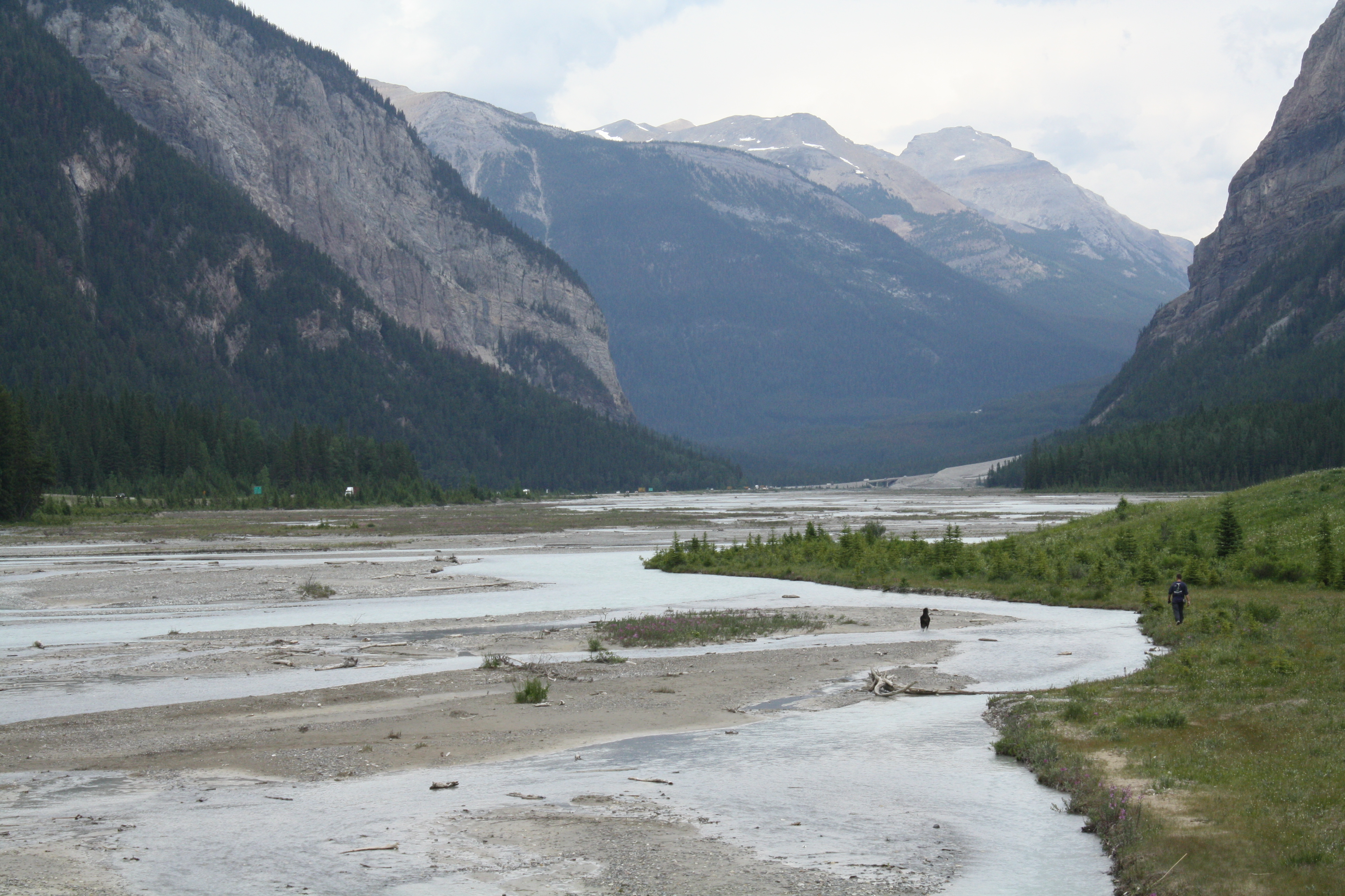 Walking along the Upper Reaches of the Kicking Horse River in Field, BC 
